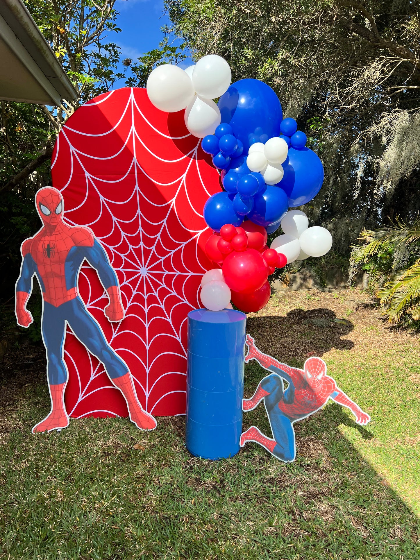 Spider guy Cut outs