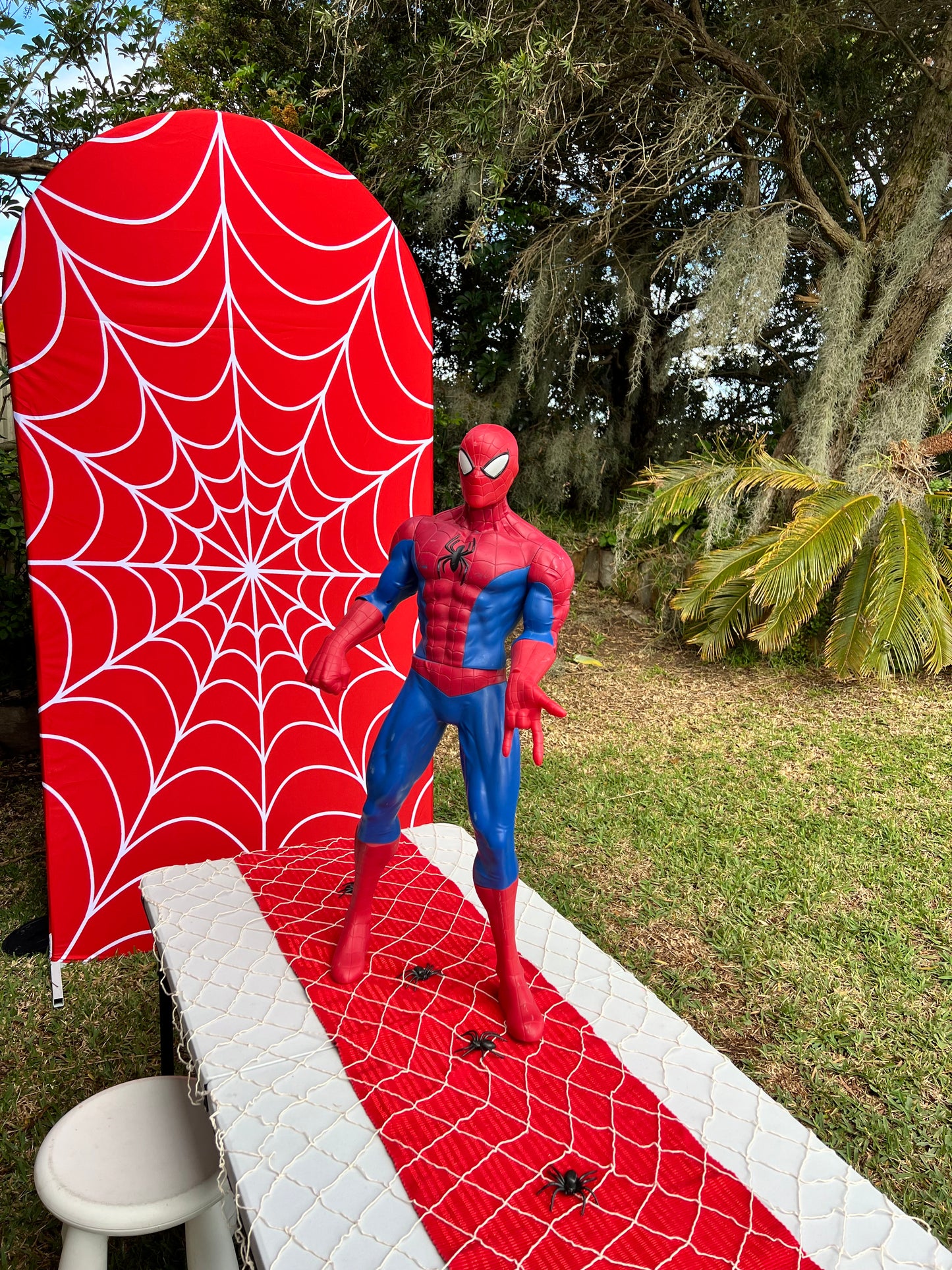 Red web banner