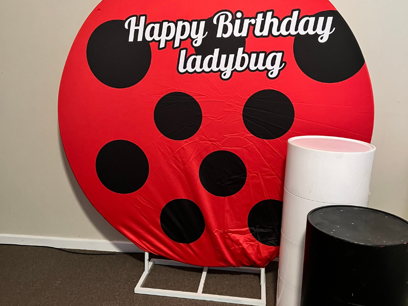Ladybug party