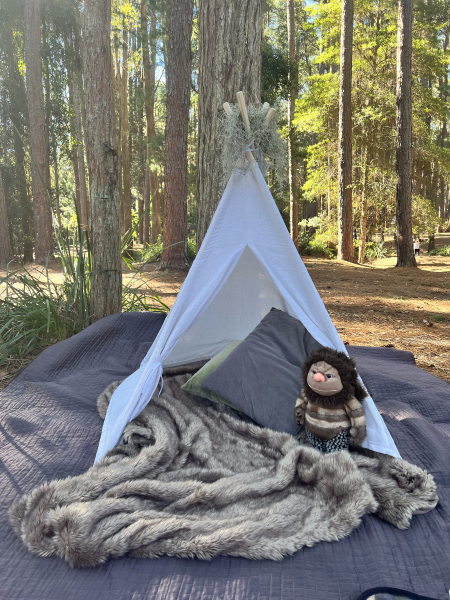 Where the wild things are