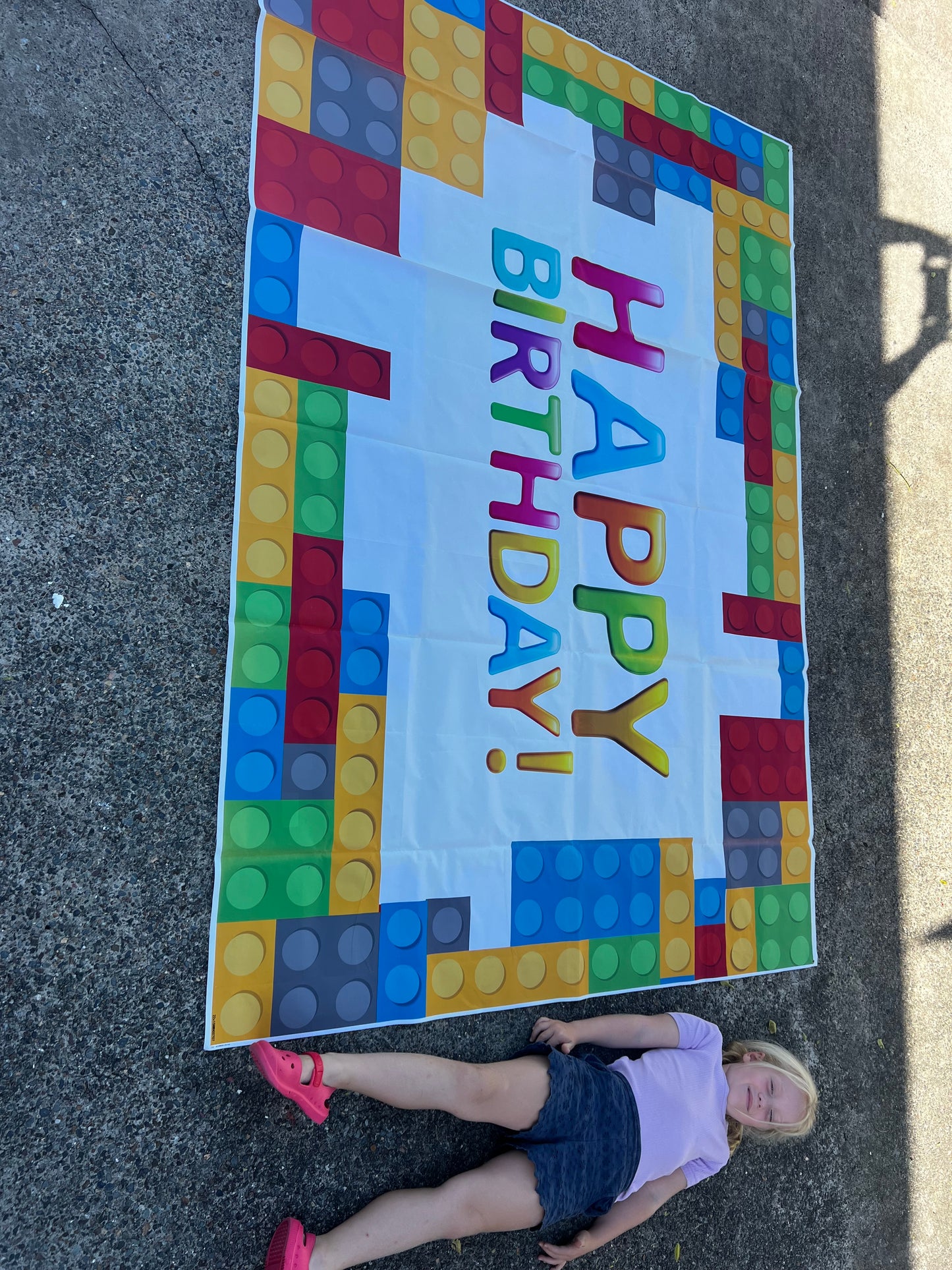 Building bricks party