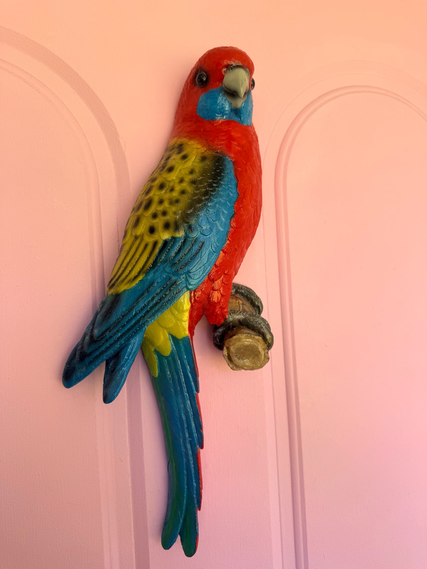 Red arch banner aka Eastern Rosellas