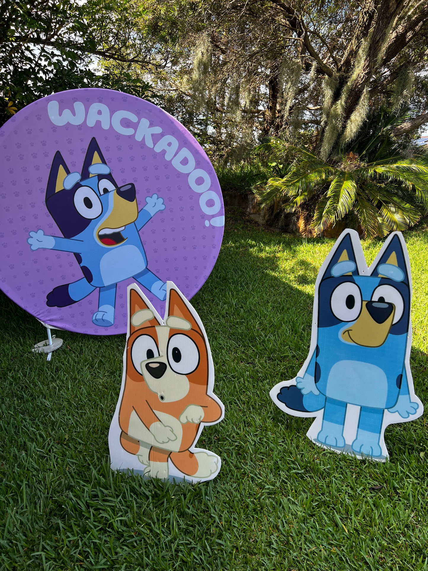 Bluey cut outs V Party Queens