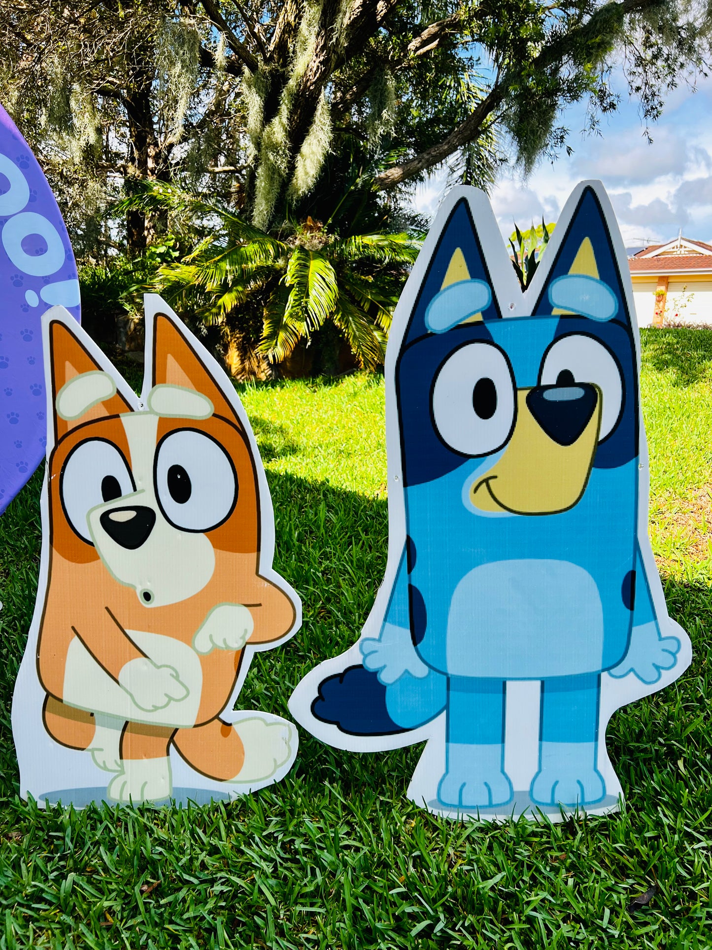 Bluey cut outs V Party Queens